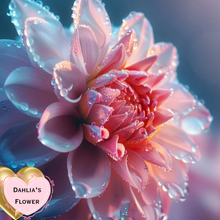 Load image into Gallery viewer, Dahlia’s Flower Body Oil