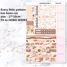 Load image into Gallery viewer, 2pcs Cute Leopard Pattern Stationery Stickers
